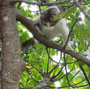 Meet your Posher, Weijia